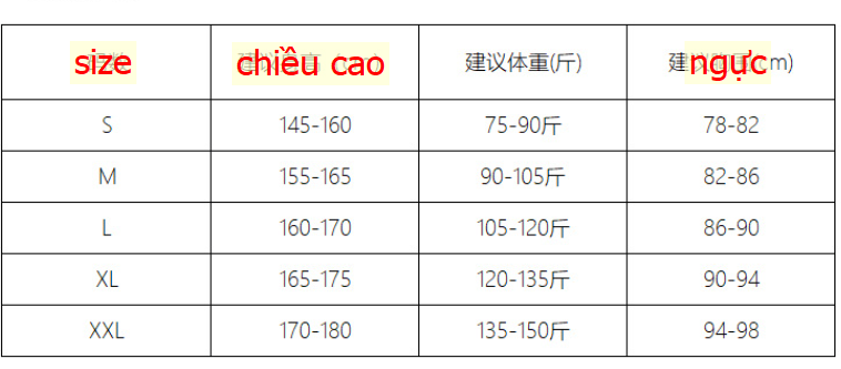 24HA147.31 - ÁO THUN THU ĐÔNG CANVAUS