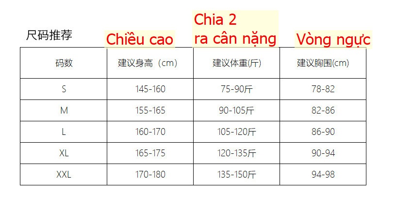 24HA167.26 - ÁO THUN THU ĐÔNG CANVAUS