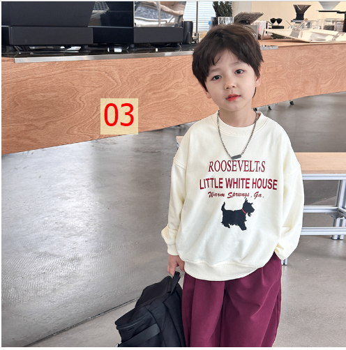 24HA197.22 - ÁO NỈ CHO BÉ HÃNG AMBB