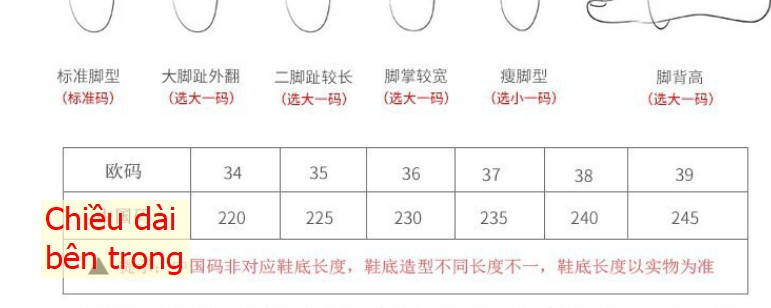 24HA197.29 - BỆT MŨI TRÒN