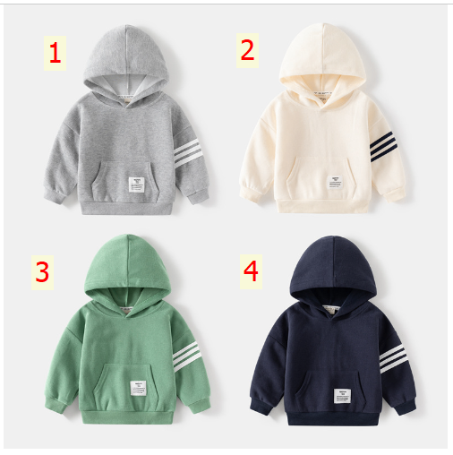 24HA227.15 - ÁO NỈ HOODIE CHUI ĐẦU HÃNG WAPYPY