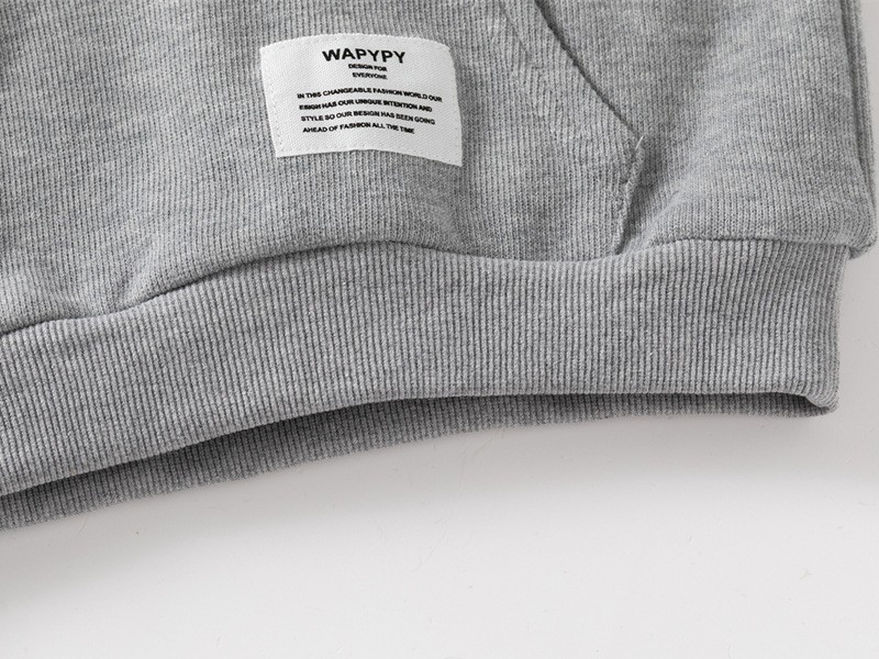 24HA227.15 - ÁO NỈ HOODIE CHUI ĐẦU HÃNG WAPYPY