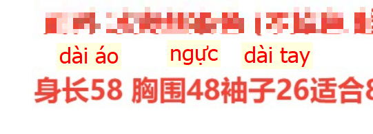24HA237.09 - ÁO MONGTEGHI CỔ TRÒN LỖ