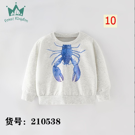 24HA257.19 - SET 2 ÁO NỈ HÃNG Forest Kingdom BÉ TRAI