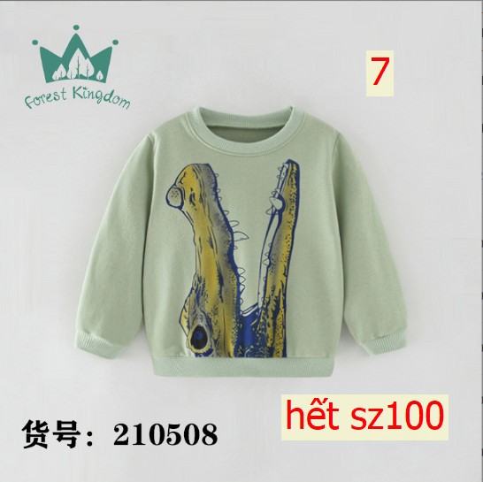 24HA257.19 - SET 2 ÁO NỈ HÃNG Forest Kingdom BÉ TRAI