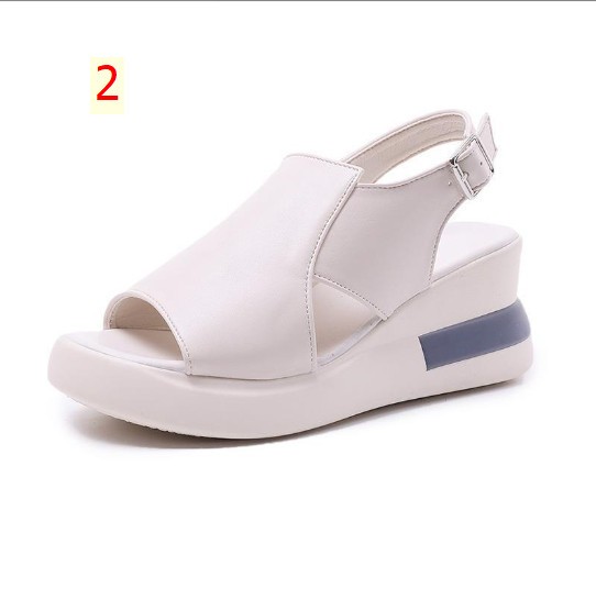 24HA257.02 - DÉP ĐẾ XUỒNG.