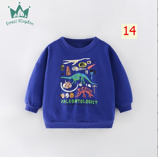 24HA257.19 - SET 2 ÁO NỈ HÃNG Forest Kingdom BÉ TRAI