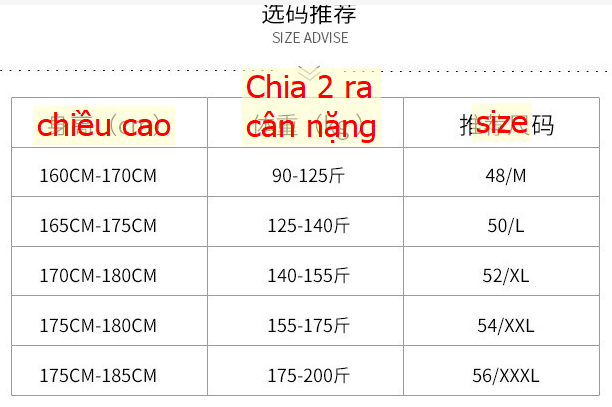 24HA307.32 - ÁO POLO THU ĐÔNG NAM