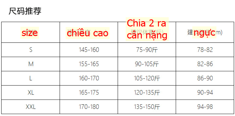 24HA18.09 - ÁO KẺ XIÊN CANVAUS