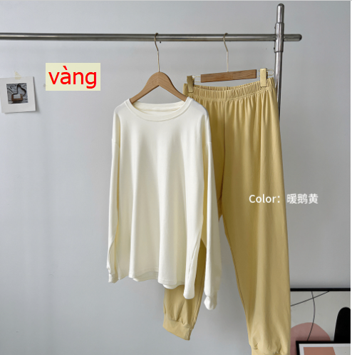 24HA118.10 - BỘ COTTON TRƠN DÀI TAY CHO NỮ