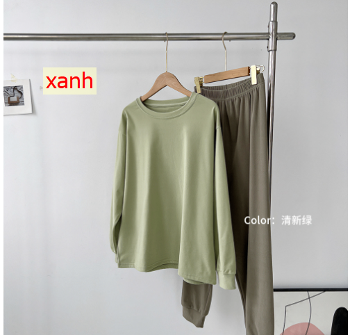 24HA118.10 - BỘ COTTON TRƠN DÀI TAY CHO NỮ