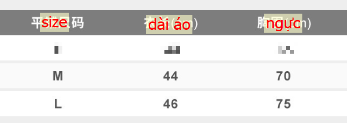 24HA118.19 - ÁO TẬP NỮ CỔ V