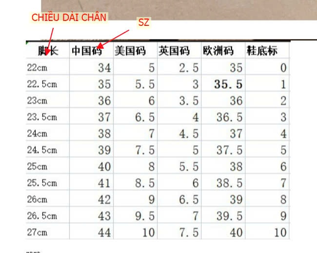 24HA138.08 - GIÀY MARY JANE HỞ GÓT CHO NỮ