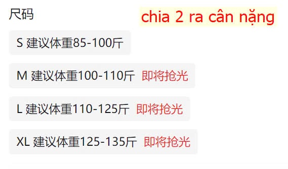 24HA148.06 - ÁO DẠ KẺ ĐỎ NỮ