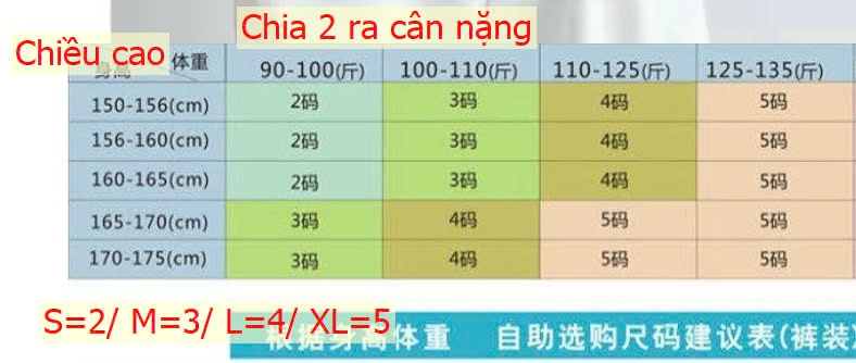 24HA148.15 - ÁO LEN KẺ NGẮN TAY