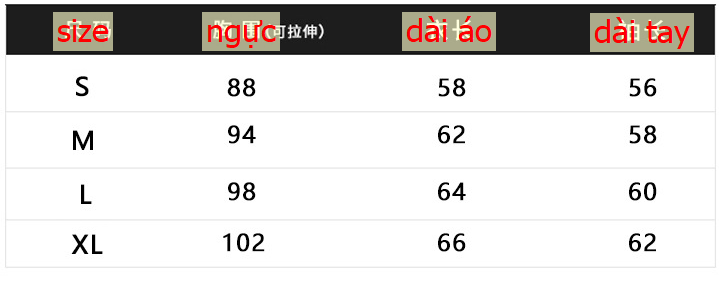 24HA178.06 - ÁO THUN DÀI TAY CỔ U