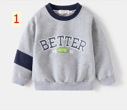 24HA238.27 - ÁO NỈ BETTER BÉ TRAI WELLKIDS