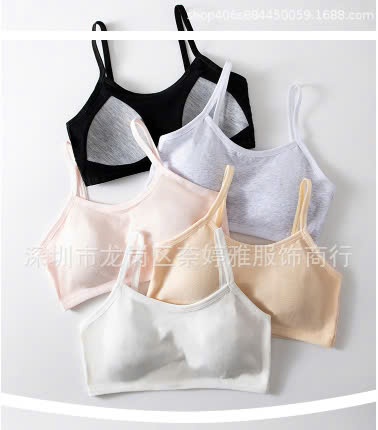 24HA268.10 - SET 3 ÁO BRA HỌC SINH