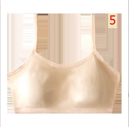 24HA268.10 - SET 3 ÁO BRA HỌC SINH