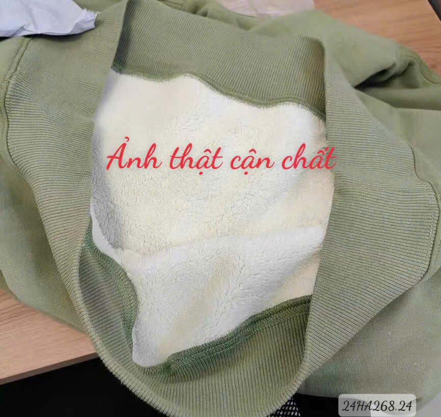 24HA268.24 - ÁO NỈ HODDIE DESSUU