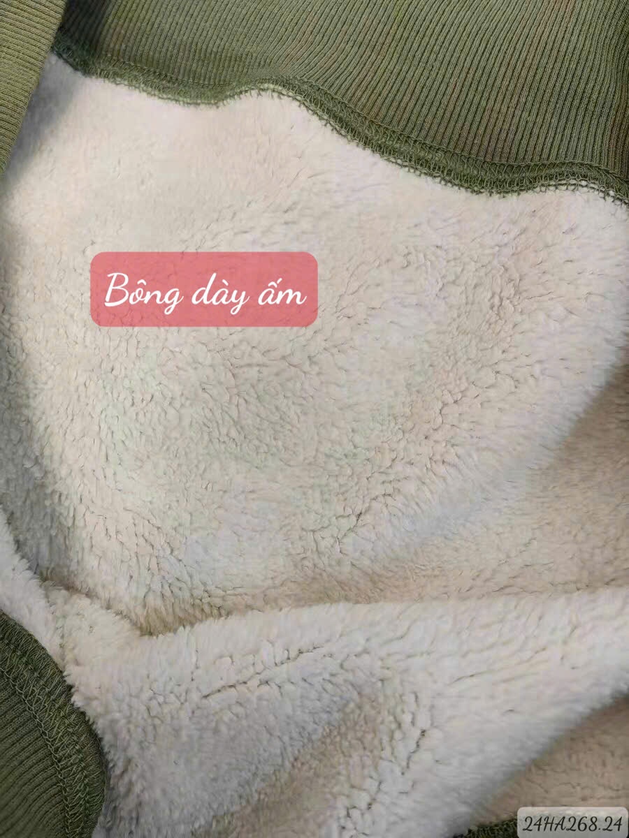 24HA268.24 - ÁO NỈ HODDIE DESSUU
