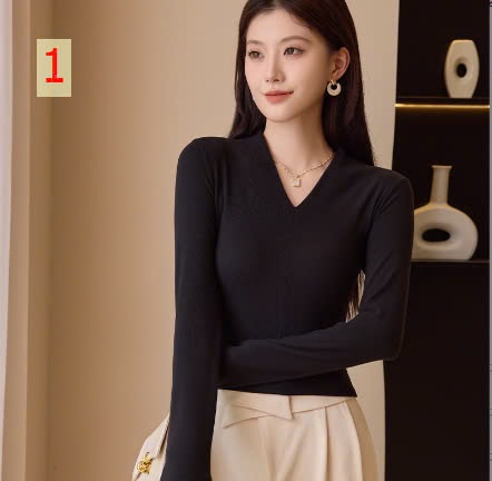 24HA278.22 - ÁO THUN CỔ V NỮ