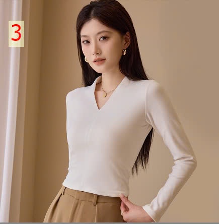24HA278.22 - ÁO THUN CỔ V NỮ