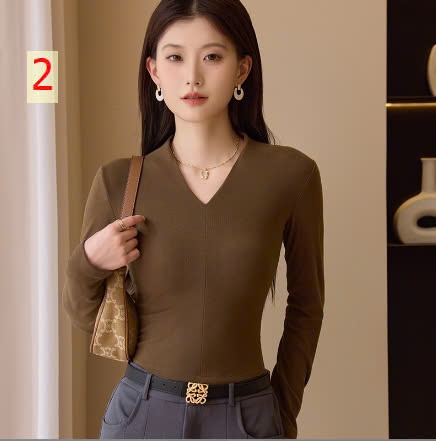 24HA278.22 - ÁO THUN CỔ V NỮ