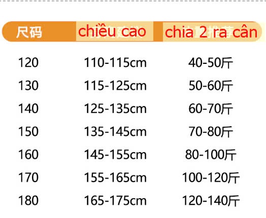 24HA278.19 - BỘ NỈ DEMIN BÉ TRAI SIZE ĐẠI