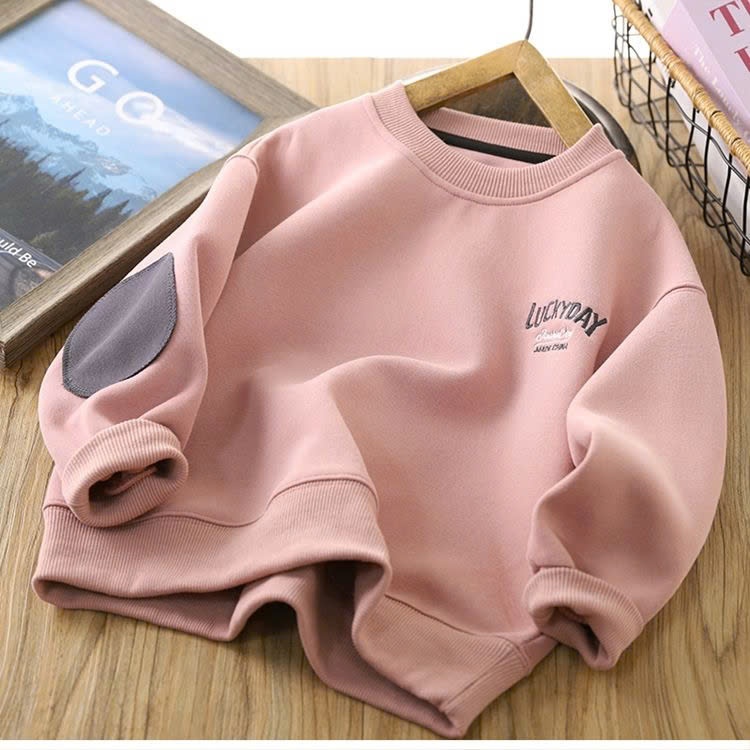 24HA288.21 - ÁO NỈ SWEATER CHO BÉ