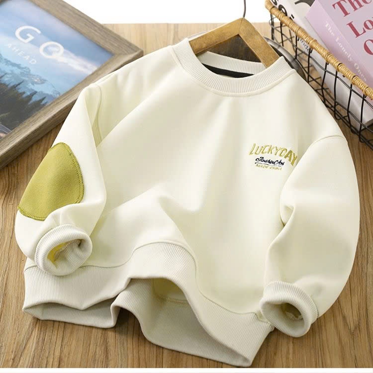 24HA288.21 - ÁO NỈ SWEATER CHO BÉ