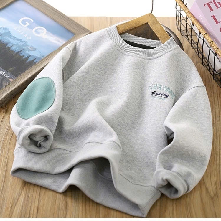 24HA288.21 - ÁO NỈ SWEATER CHO BÉ