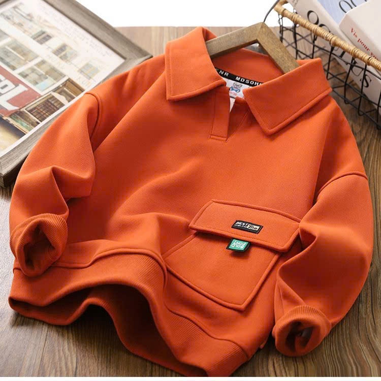24HA308.24 - ÁO NỈ CỔ POLO BT