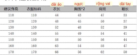 24HA308.24 - ÁO NỈ CỔ POLO BT