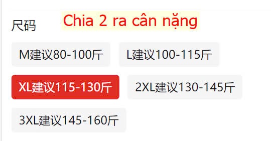 24HA129.02 - ÁO CỔ RỘNG CHO NỮ