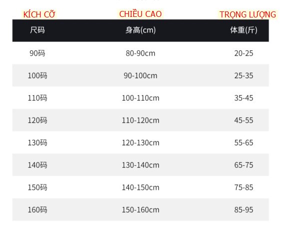 24HA139.05-ÁO NỈ BÉ TRAI SIZE ĐẠI