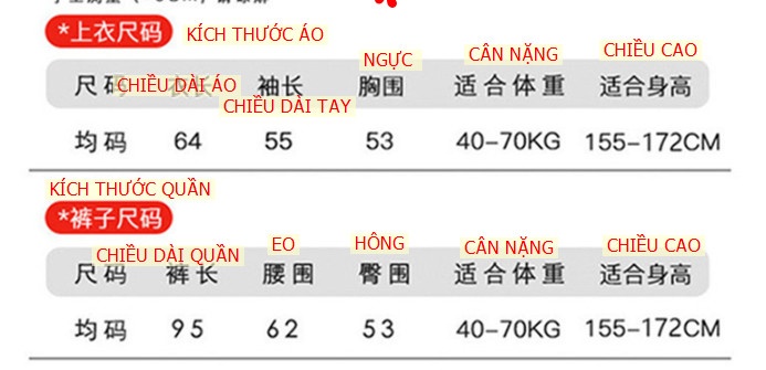 24HA139.13-BỘ LÔNG CHO NỮ