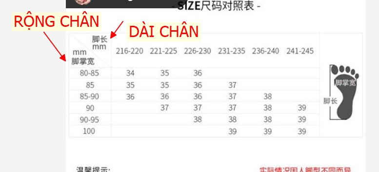 24HA159.25-GUỐC DUSTO NỮ