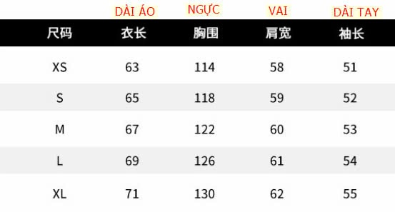 24HA169.15- ÁO NỈ DESSUU