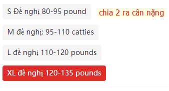 24HA229.27- ÁO LEN XÁM PHỐI CỔ SƠ MI