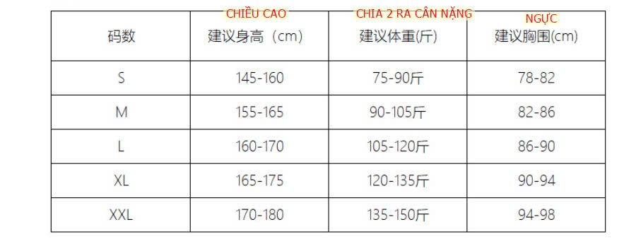 24HA229.30-ÁO NỮ CỔ V CANVAUS