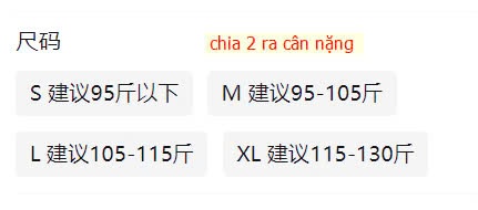 24HA249.13 - ÁO BRAZEL NỮ