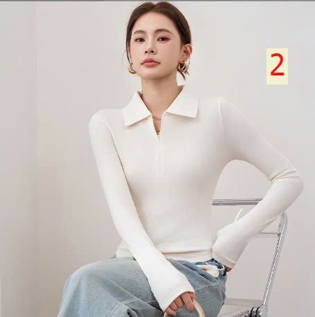 24HA279.07 - ÁO THUN CỔ POLO KÉO KHÓA NỮ