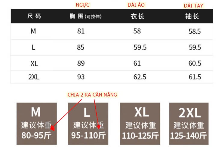 24HA510.12 - ÁO THUN DÀI TAY KHOÉT CỔ CÁCH ĐIỆU