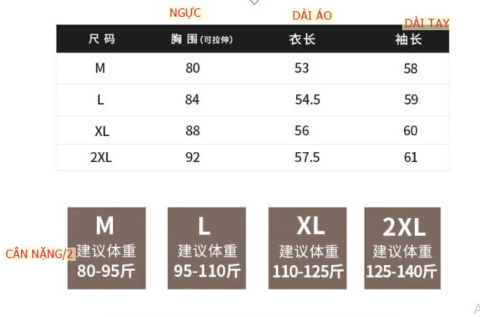 24HA510.13 - ÁO NỈ THU ĐÔNG CỔ VUÔNG