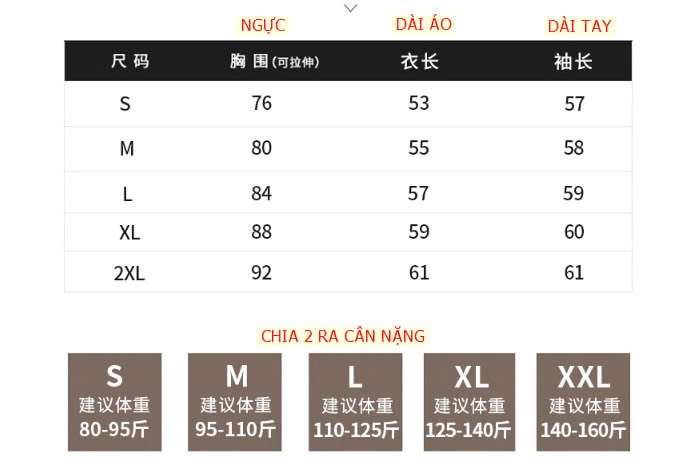 24HA410.05- ÁO THUN CỔ V THU ĐÔNG