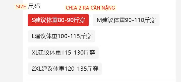 24HA710.21 - ÁO LEN NƠ HÃNG CACHE CACHE