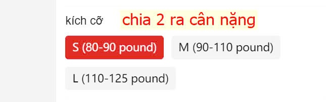 24HA1210.28 - ÁO LEN CÚC LACHAPPELE CỔ V