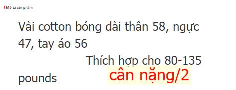24HA1310.01 - ÁO LEN CỔ LỌ TAY PHỒNG