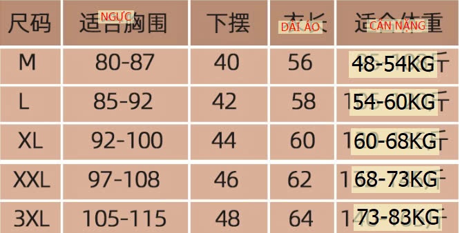 24HA1710.13- ÁO MODAL DÀI TAY KÈM ĐỆM NGỰC NỮ